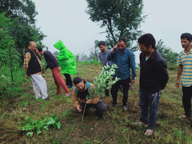 HIMALAYAN JYOTI SAMITI