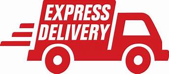 We fast courier service - Mumbai