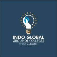 Indo group of colleges