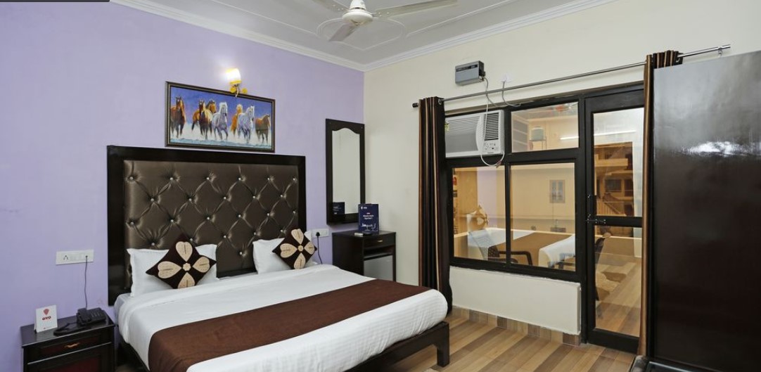  Hotel Vishla Palace 