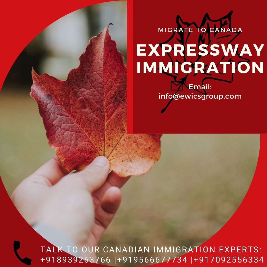 Expressway Immigration Consultancy Services