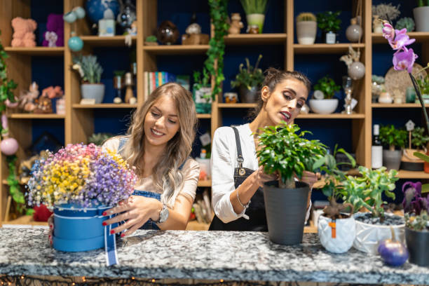 Decent Florist - Flower Shop