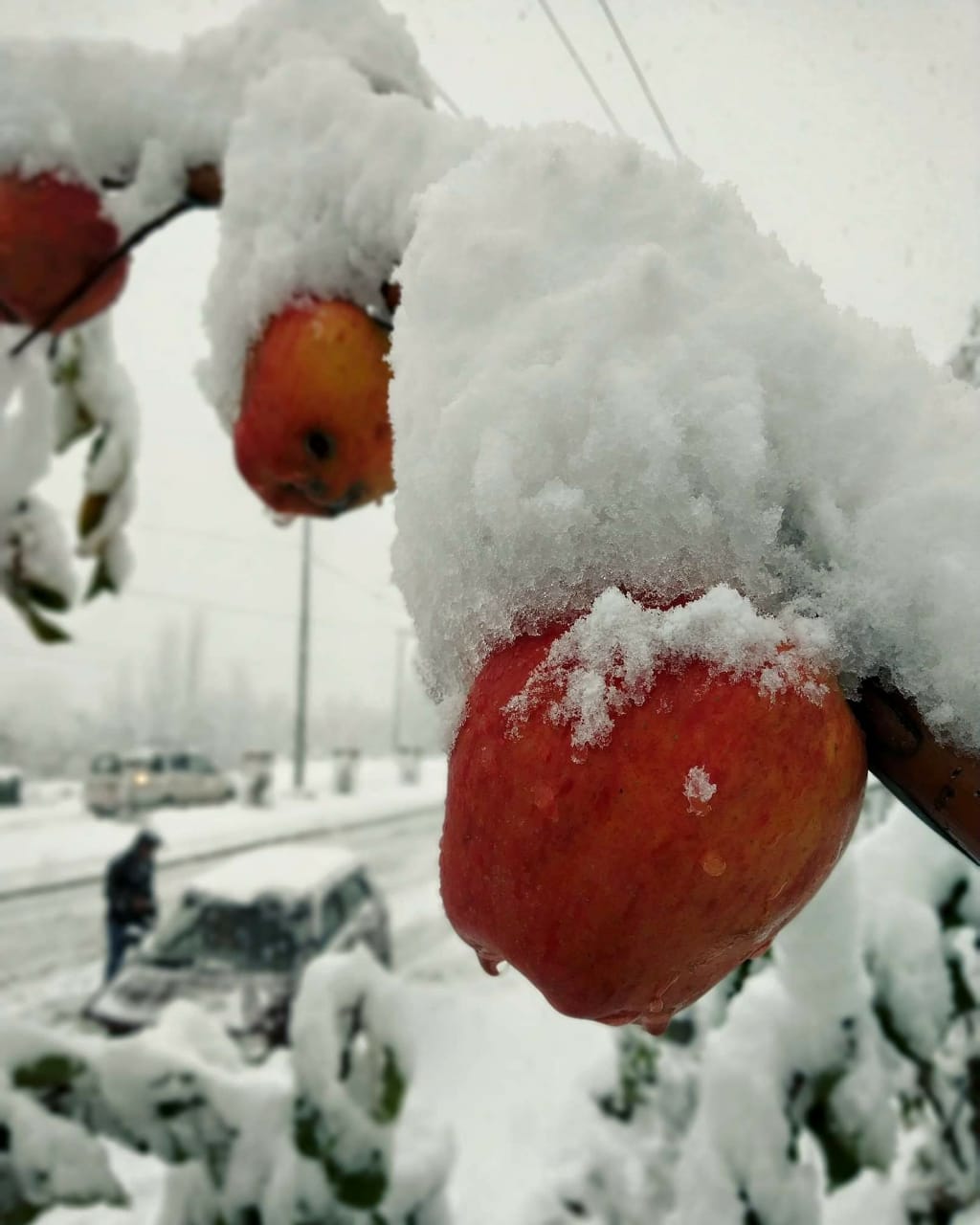 Saints Tours and Travels | Best Tour Operator in Srinagar