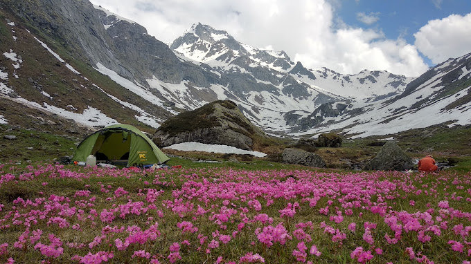 Himalayan yeti adventure