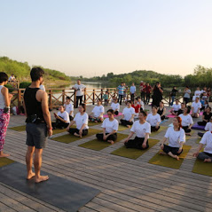 Divine Yoga School