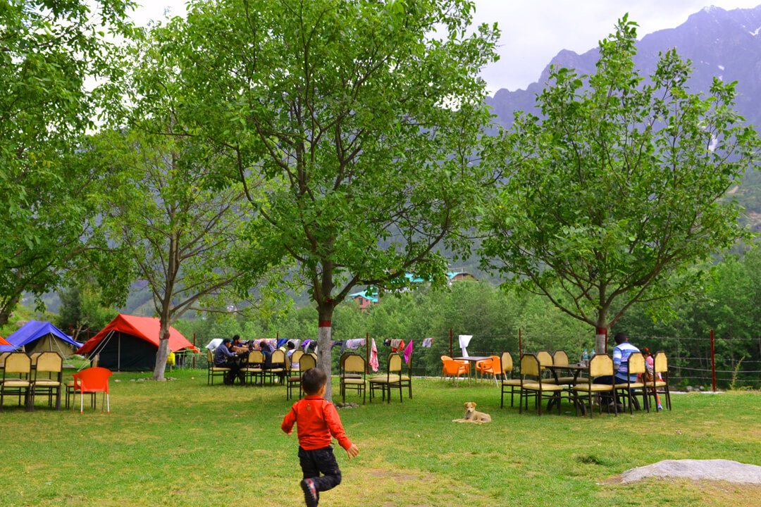 camp 21  I luxury camp in manali