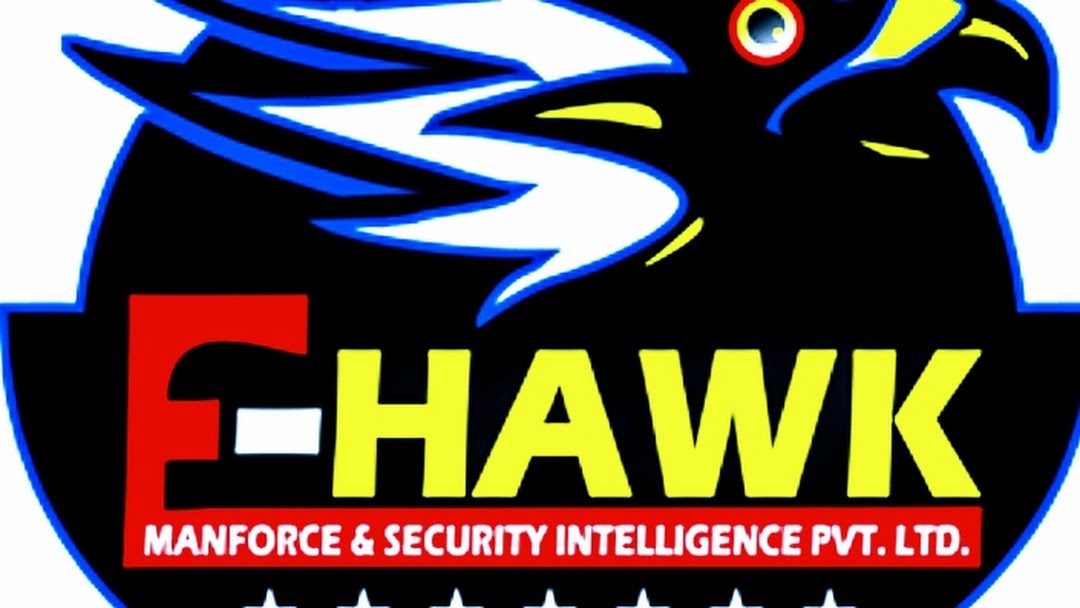 Ehawk security opc private limited - Satna