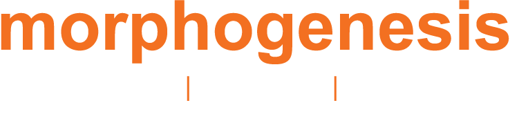 Morphogenisis