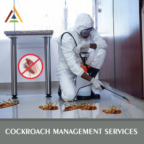 pest control sevices
