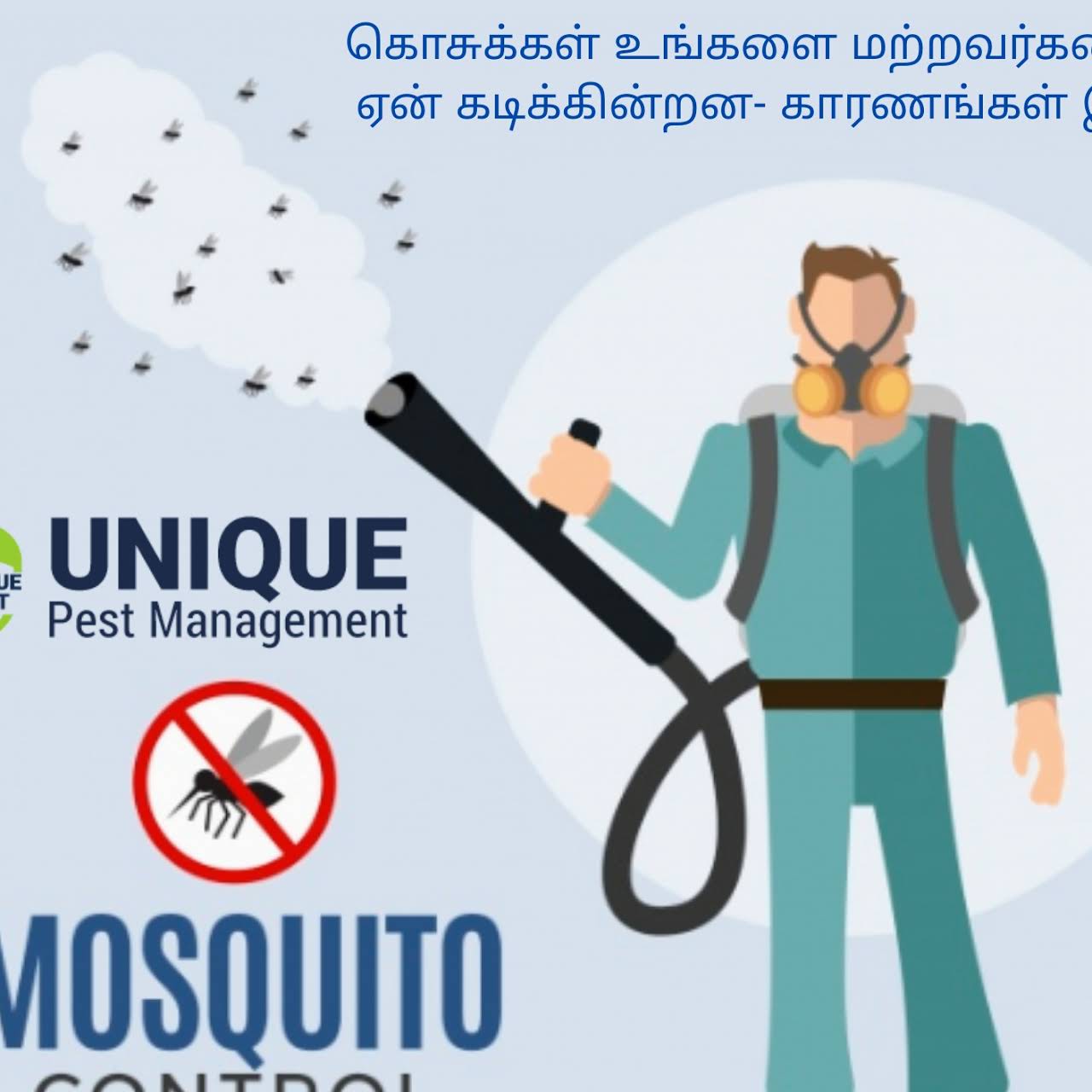 Unique Pest Control - No.1 Pest Control Services in Chennai