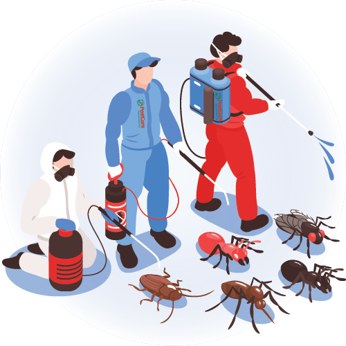 Pestcare India Pvt Ltd.- Pest Control Sevice | Termite | Cockroach | Rodent | Control