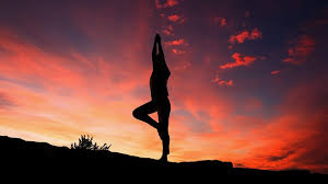Das Yoga & Fitness - West Bengal
