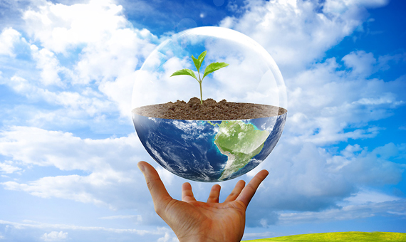 Gangotri Solar System Pvt Ltd - Haldwani