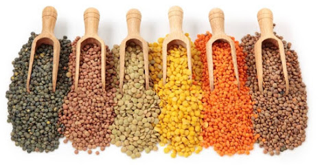 SR Pulses - pulses manufacturers in indore