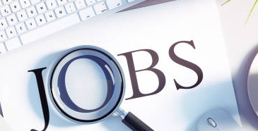 sale executive for shawn pvt ltd